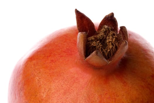 Isolated macro image of a Pomegranate.