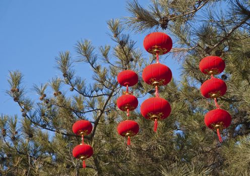 chinese lanterns