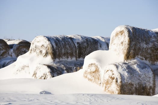 Snow covered pile of hay bales.