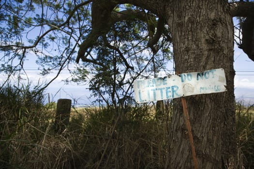 Sign reading please do not litter with tree and clouds in background.