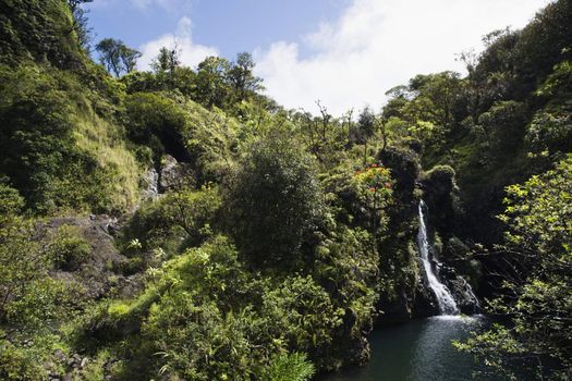 Waterfall surrounded by lush green vegetation in Maui, Hawaii.