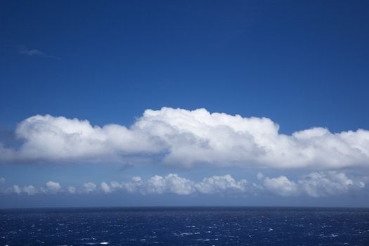 Pacific ocean with white puffy clouds.