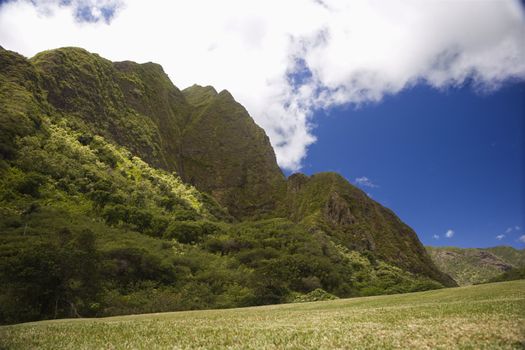 Maui, Hawaii mountain landscape.