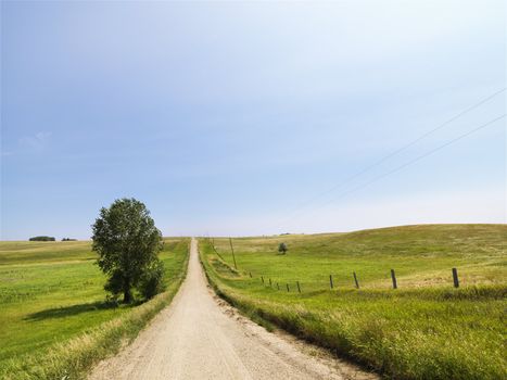 Scenic country rural gravel road leading toward the horizon.