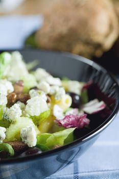 Delicious salad with roquefort cheese, greens and grapes