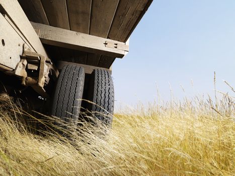 Low angle view of farm truck in field.