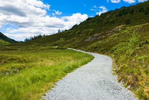 Country road through rural nature