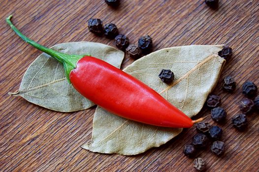 Red cayenne and black pepper with bay leaves