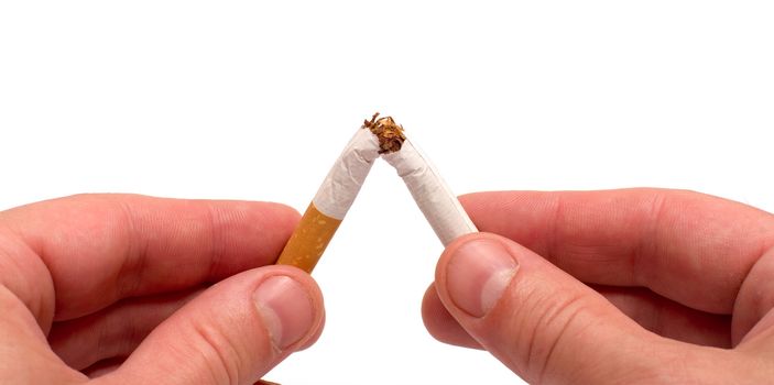 Close up mans hands breaking a cigarette it is isolated on a white background.