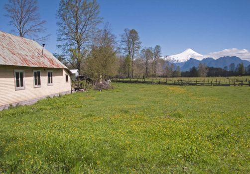Meadow in Pucon with the snow capped Villarrica Volcano in the distance.