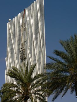 palm tree and building white