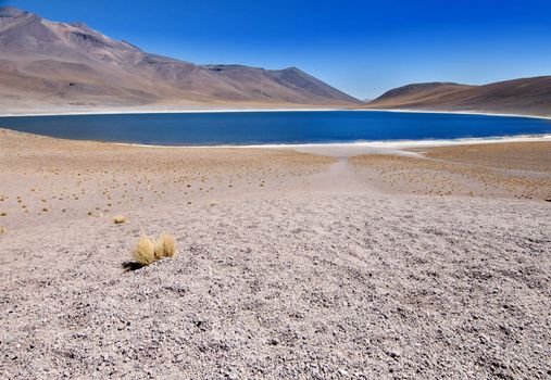 Laguna (Lake) Miscanti in the Chilean desert, over 4000m above sea level.