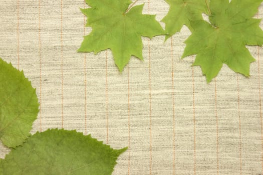 Dried green leaves over natural linen striped textured fabric textile