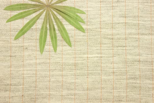 Dried green leaves over natural linen striped textured fabric textile