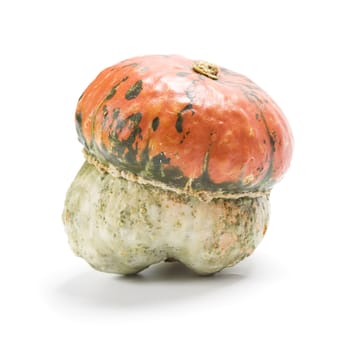 Decorative pumpkin on white background