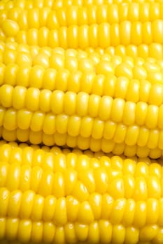 Sweet corn