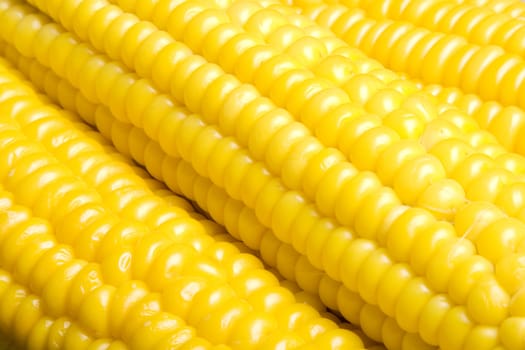 Sweet corn