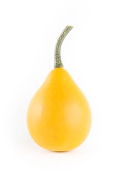 Yellow decorative pumpkin on white background