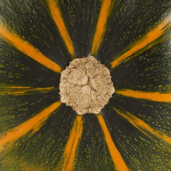 Pumpkin detail