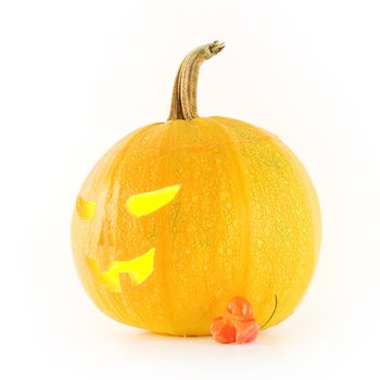 Halloween pumpkin on white background