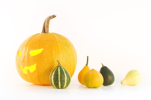 Halloween pumpkin on white background