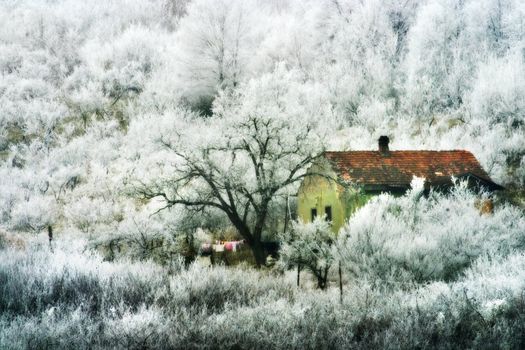 Isolated house in a frozen landscape