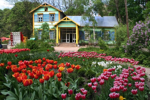 Bed from tulips and the ancient house in the Kharkov zoo Ukraine 15 05 2007