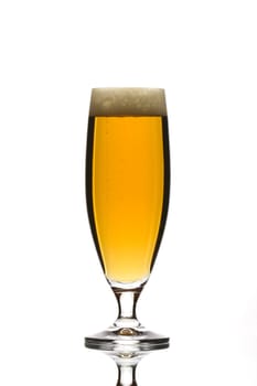 glass of beer on white background