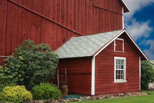 vintage red barn and milk house with rocks and bushes for landscaping
