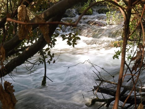 Beautiful cascade waterfall in a small forest river