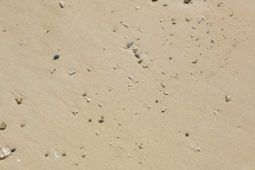 sand in beach
