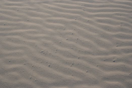 Some winded sand on the beach.  The ripples make nice little sand dunes.  The sand is very dry and soft.  This shot makes a great background pattern.