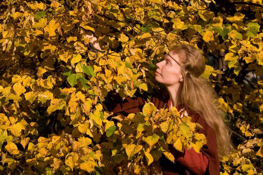 The blonde girl in medieval red dress in the autumn forest
