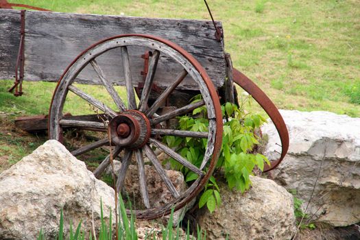 An old broken down wagon near a pond