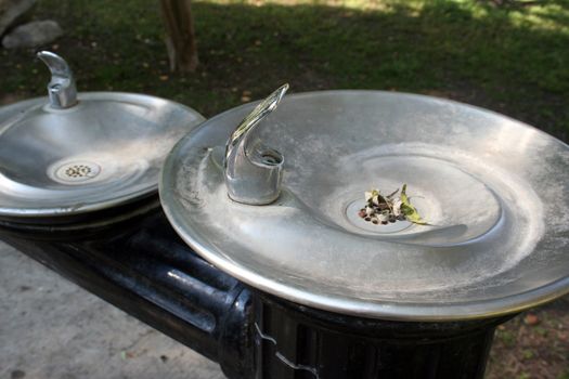 A water fountain at a park.