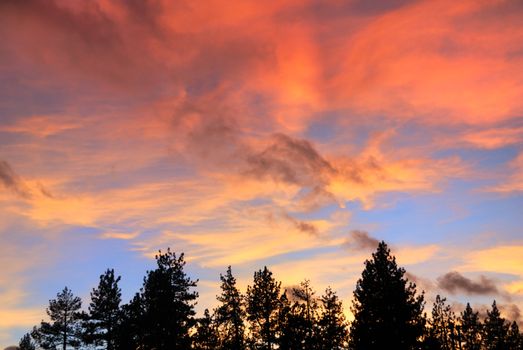 red clouds at sunset above tree silhouettes on the Lake Tahoe California