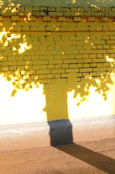 abstraction, shade of the leafy tree on yellow wall from brick
