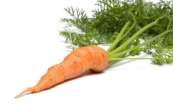 Carrots with tops isolated on a white background.