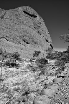 Bright and Sunny Day in the Australian Outback