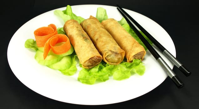 Single serving of spring rolls