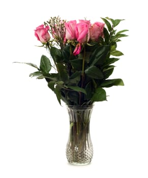 A dozen roses in a glass vase, isolated against a white background