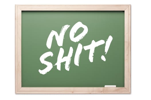 Chalkboard Series Isolated on a White Background - No Shit!