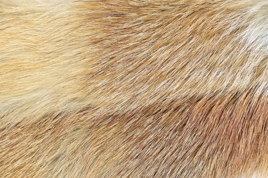 A closeup shot of mink fur. Great background, texture or wallpaper