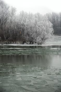 black winter trees on riverbank scenic landscape