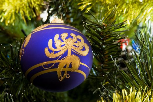 The beautiful dark blue Christmas-tree decoration weighs on a fur-tree branch