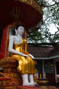 BUddha image under Phrasrimahabhodi tree in Wat Doi Suthep, Chiang Mai