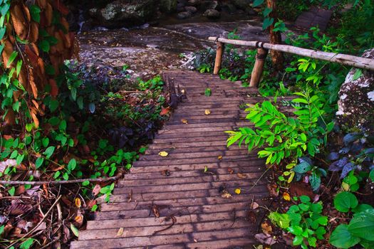 Wooden way to waterfall