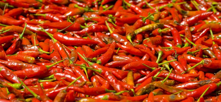 chili for sale with a shallow depth of field