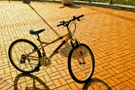 bicycle in brick floor under sunlight