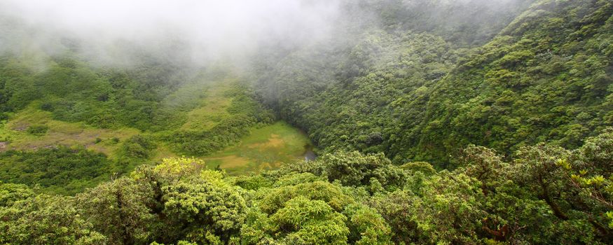 Fog descends into "The Crater" below Mount Liamuiga on Saint Kitts.